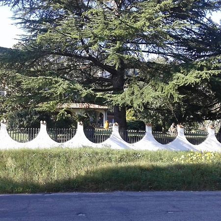 Belvedere Valenza Terni Bagian luar foto